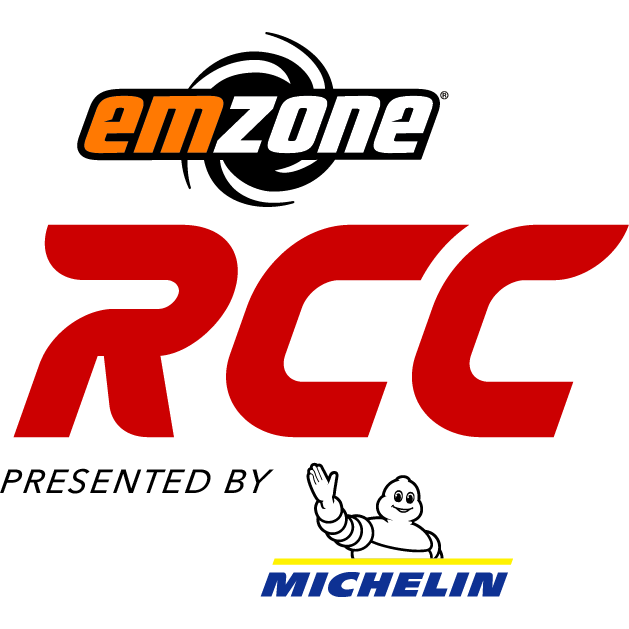 FEL logo
