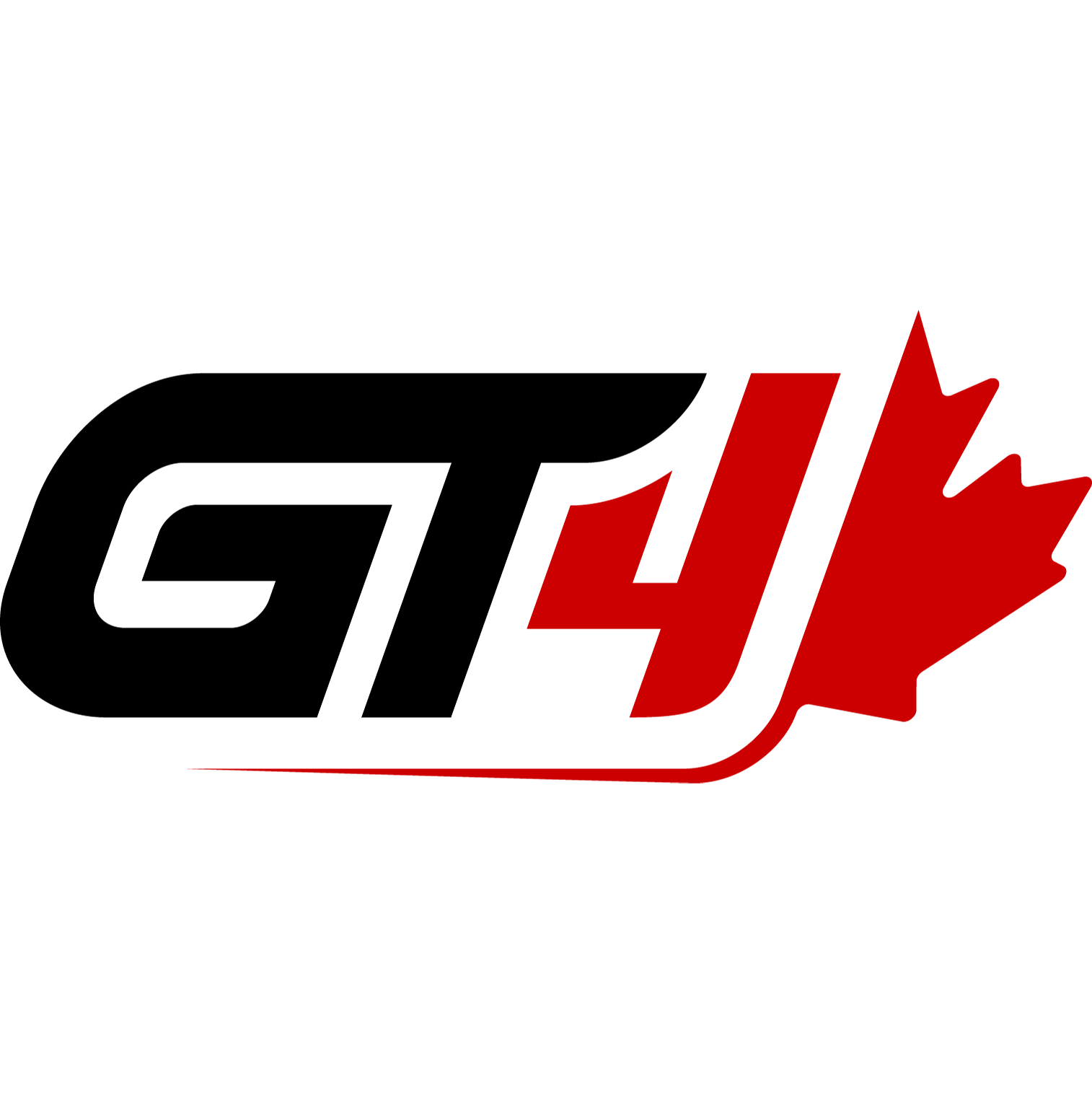 FEL logo